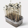 P. CYANESCENS “TASMANIA “ MUSHROOM GROW KIT